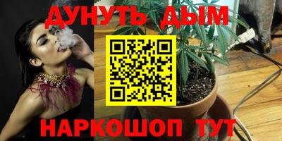 не бодяженный Кингисепп