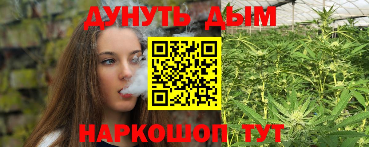 Бошки Шишки сатива  Канабис White Widow  Конопля план  Конопля ГИДРОПОН  Вход с VPN  Клинцы 